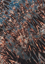 Load image into Gallery viewer, Onyx