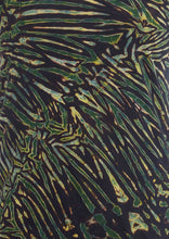 Load image into Gallery viewer, Deep Forest