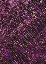 Load image into Gallery viewer, Deep Purple