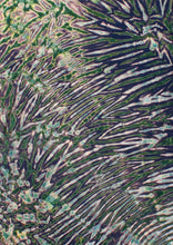 Load image into Gallery viewer, Forest Deep