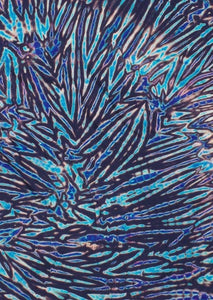 Indigo Violet